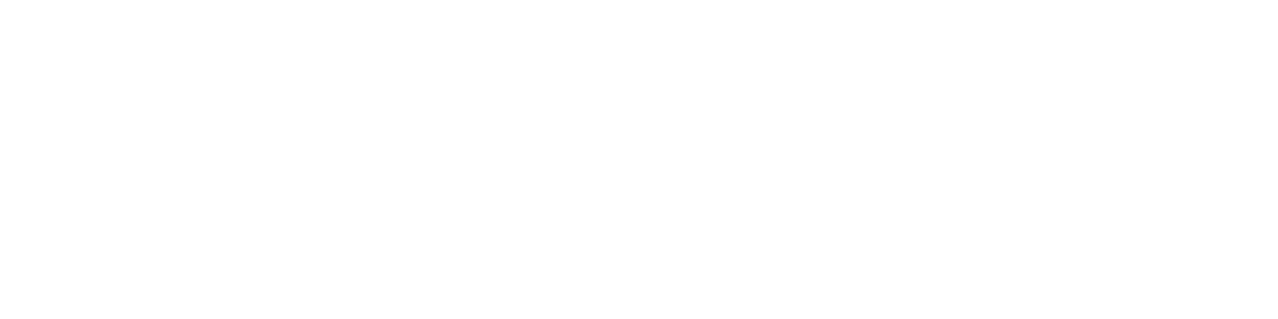 Fossula logo